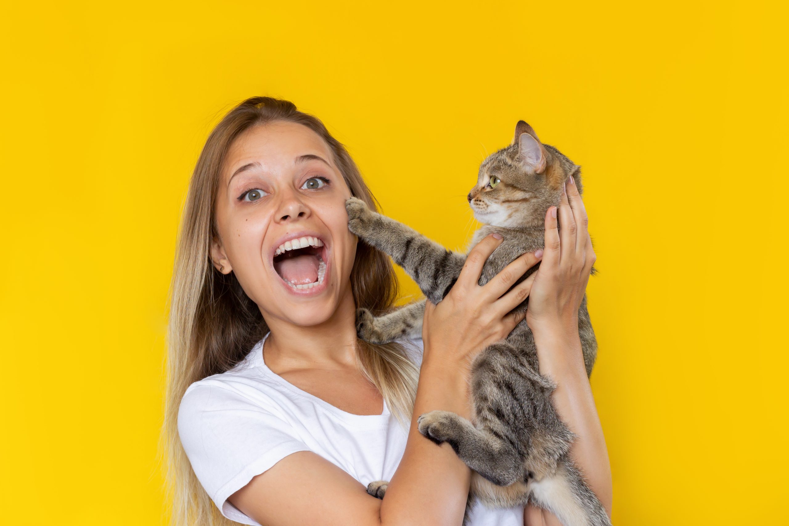 A,Young,Beautiful,Smiling,Blonde,Woman,In,A,White,T-shirt